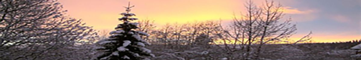 Velkommen til Kheds Butikk